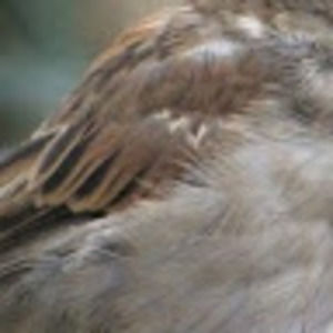 Meet your Posher, Kaylee